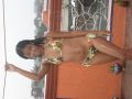 twEeny
Girls
18-22,Party Girls